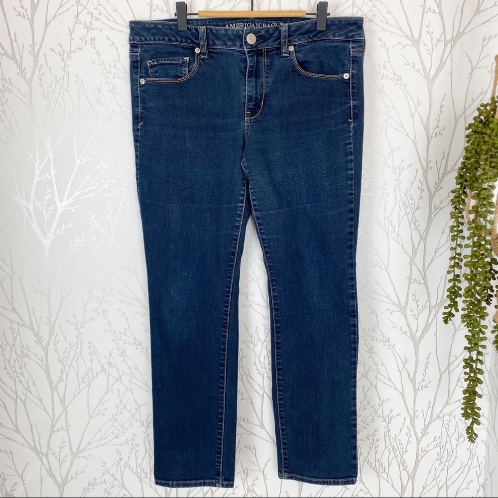 American Eagle Outfitters Skinny Med Wash Jean 12S